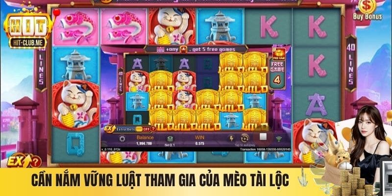 Cần nắm vững luật tham gia của Mèo Tài Lộc 